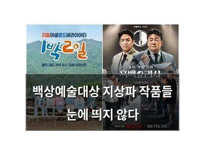 백상예술대상 지상파 작품들 눈에 띄지 않다