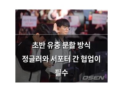 초반 유충 분할 방식 정글러와 서포터 간 협업이 필수